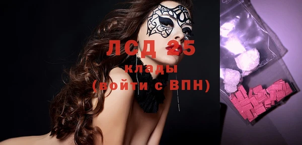 индика Балабаново