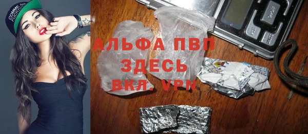 индика Балабаново