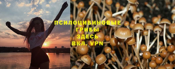 индика Балабаново
