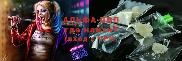 индика Балабаново