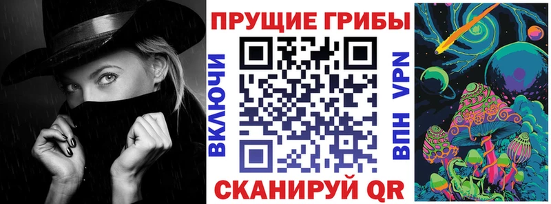 Галлюциногенные грибы Psilocybine cubensis  Заринск 